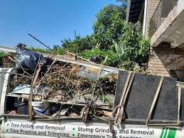 Best Residential Junk Removal  in South Haven, MI