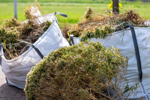  South Haven, MI Junk Removal Services Pros